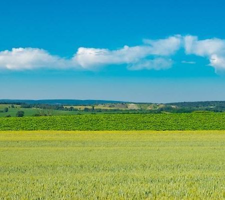 Appartamento Hortenzia Vendégház Mór Esterno foto